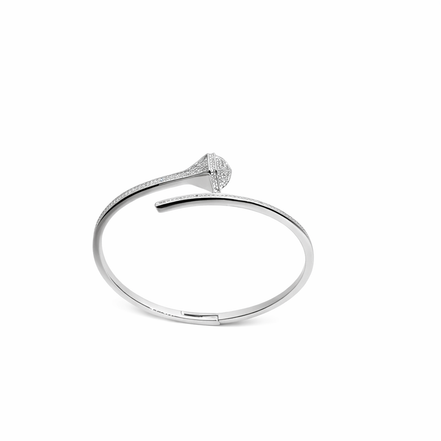 Celeste Lock Open Kada