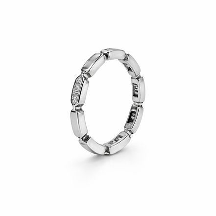 Zaria Link Ring